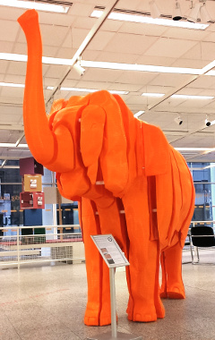 World Animal Protection